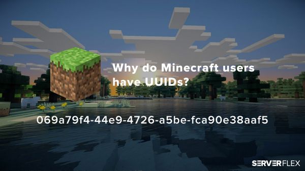 Why do Minecraft users have UUIDs?